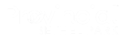 Bethel Park White Bethel Park White