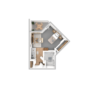 DSL_PSL_PBPK_Suite_Bluebird_375-396sqft_WEB