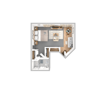 DSL_PSL_PBPK_Suite_Robin_375-396sqft_WEB