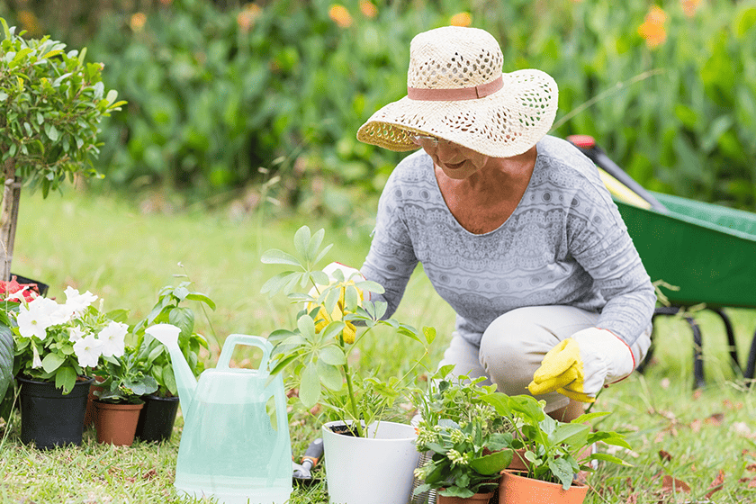 happy grandmother gardening